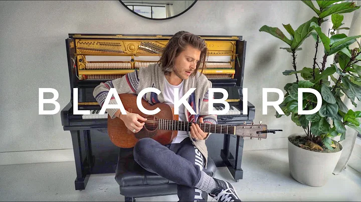 Blackbird (Acoustic Cover) - Cory Asbury