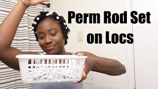 Perm Rod Set on Locs using Giovanni Hair Styling Mousse pt. 4