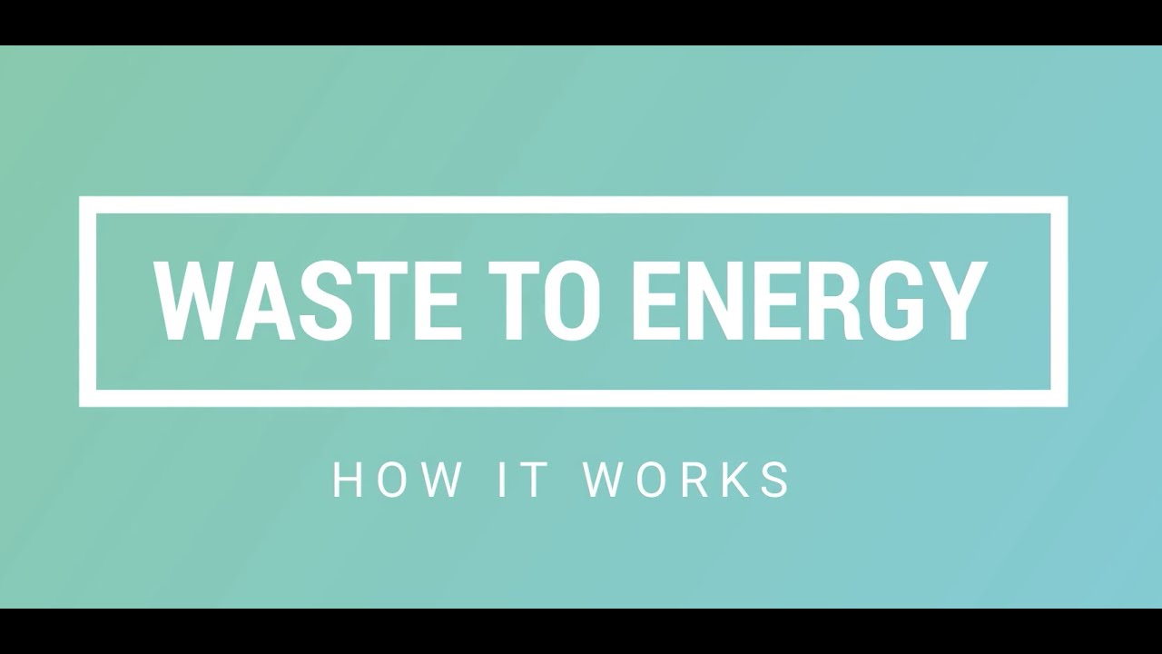 NESS Waste to Energy