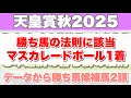 【天皇賞秋2025】データから導き出される好走馬!! 8年続く勝ち馬の法則とは!?【データ予想】