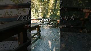 🐘 Discover the Magic of Ostrava Zoo! 🌿 The Wild Side of Czech Republic 🇨🇿