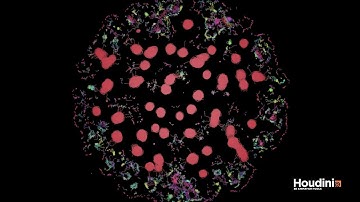 Solitons Emerging from Primordial Particle System