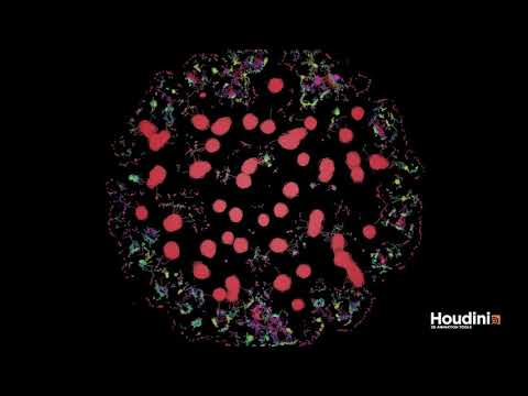 Solitons Emerging from Primordial Particle System