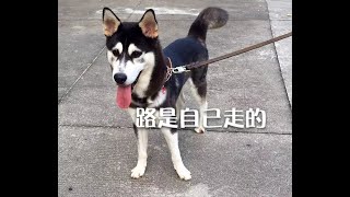 201307 路是自己走的10551