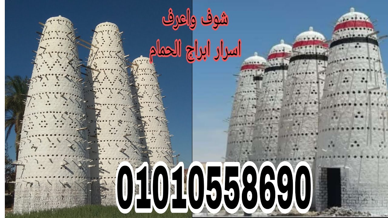 لازم تعرف اضرار التسرع  في  بناء أبراج الحمام  مع ابو مازن الفخراني 01147685247