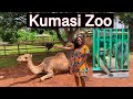 Welcome To The Kumasi Zoo ||Full Tour|| Ashanti Region Ghana