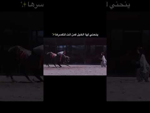 ستوريات ينحني ل هآ الخيل فمن انت لتكسرهاا