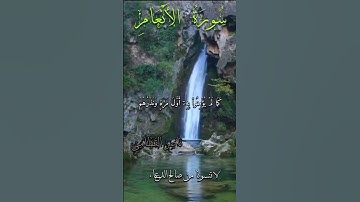 #قرآن #قران_كريم #قرآن_كريم #ناصر_القطامي #سُورَةُ_الأَنْعَامِ #سورة_الأنعام #quran