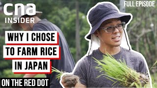 Life Of A Rice Farmer: Growing Rice In Rural Japan | On The Red Dot | Full Episode
