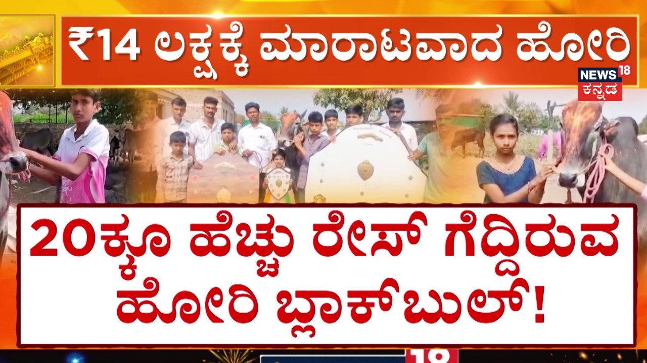 Belagavi Bull Sold 14 Lakh | ಕೊಲ್ಹಾಪುರದ ರೈತನಿಂದ 14 ಲಕ್ಷಕ್ಕೆ ಖರೀದಿ