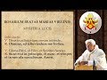 ➕MISTERIOS LUMINOSOS - "SANCTUM ROSARIUM" en LAT&Iacute;N (con letra) con el PAPA BENEDICTO XVI