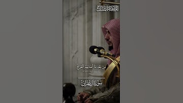ما تيسر من سورة آل عمران من تراويح ليلة ٤ رمضان ١٤٣٨هـ لفضيلة الشيخ د.#الوليد_الشمسان من #مسجد_قباء