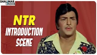 NTR Introduction Scene || Aggi Ravva Movie || Shalimar Cinema