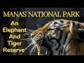 Manas National Park (UNESCO WORLD HERITAGE SITE)|Assam|Chhetri Vivek|