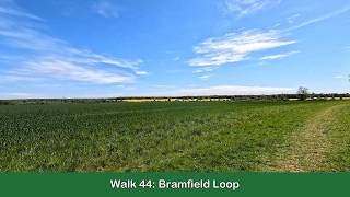 Walk 44: Bramfield Loop