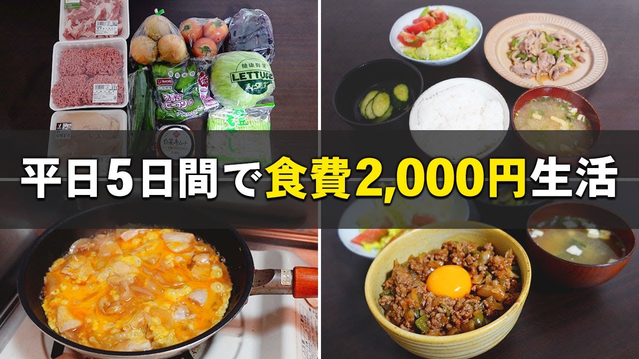 一人暮らし車持ち社会人の生活費 地方住み23歳 Youtube 一人暮らし車持ち社会人の生活費 地方住み23歳 Youtube