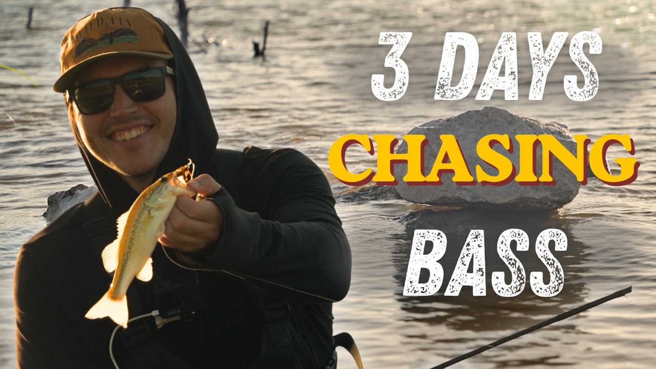 One Fly. Three Epic Bass Fishing Days
