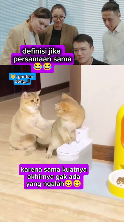 gantian dong😅😅#shortvideo #catfunny #jangkauanluas