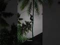 ഇപ്പോ എന്തിനാ രാത്രി തേങ്ങ?’ 😭😂 Midnight Coconut Mission Gone Wrong 🌙🌴😂