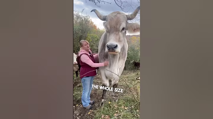 This man owns a giant animal on his farm 😳