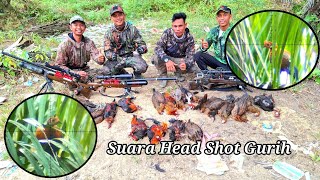 BERBURU AYAM HUTAN SAWIT 151025 || Suara Head Shot Gurih