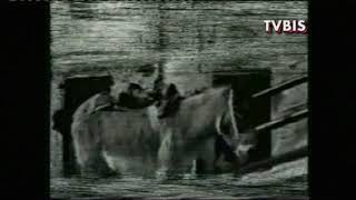 ANTONIO DI BASILIO L'ULTIMO MANISCALCO DELLA VALLE DEL FINO + CARAMANICO TERME + POSA DELLA RETE