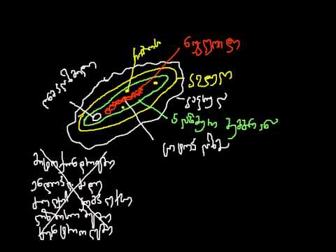 ბაქტერია