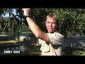 Crocodile Lover! Corey Wild - Ep. 1 : AnimalBytesTV