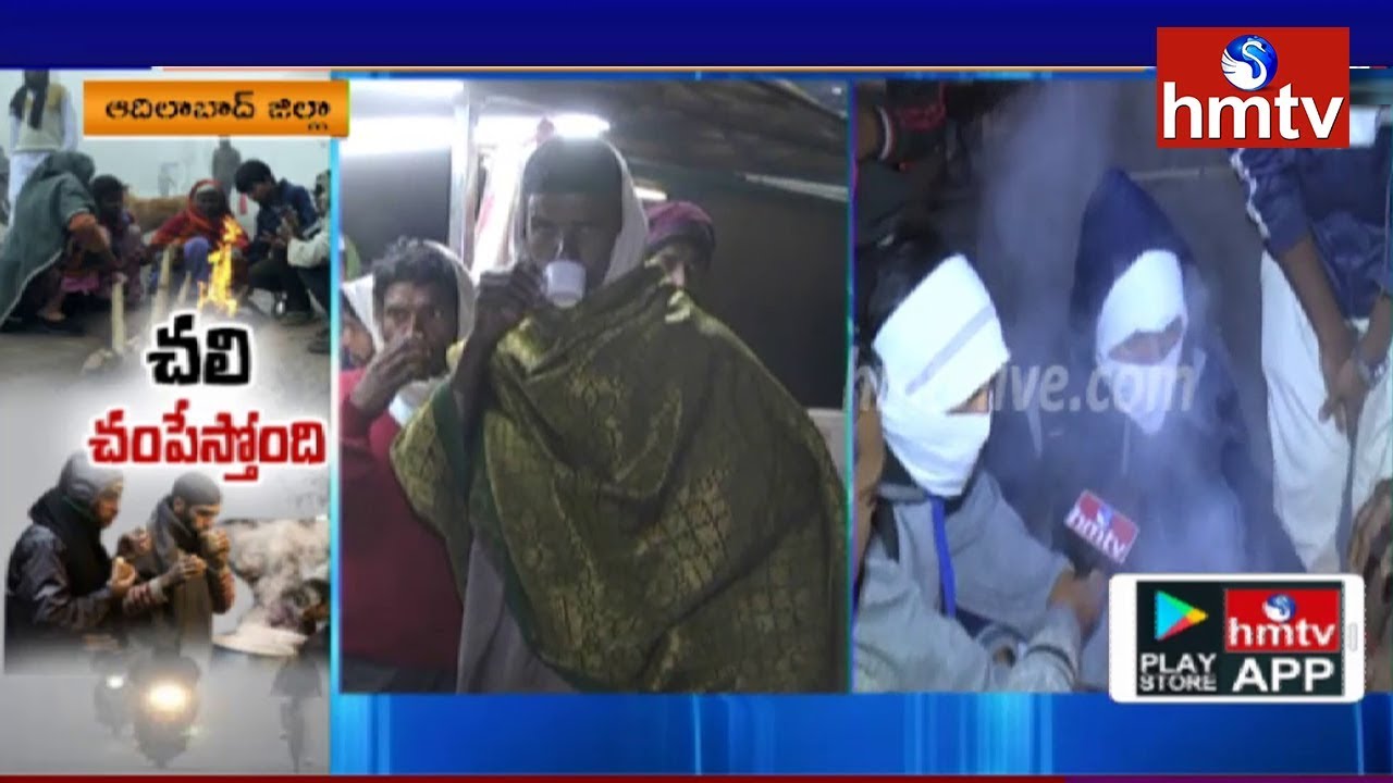 వణికిస్తున్న చలి పులి | Adilabad Weather Report | hmtv