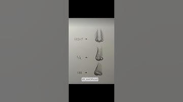 Nose drawing tutorial ✍️✨ #drawing  #tutorial #howtodraw  #nose #shorts #art