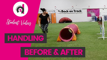 DOG AGILITY HANDLING TECHNIQUE IMPROVEMENT: Increasing verbal cues & different handling maneuvers