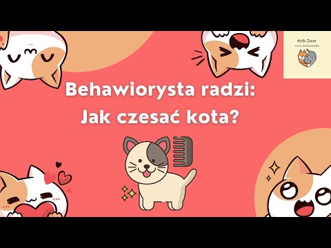 Wideo: Znaki behawioralne podrażnionych torebek przeciwpsychotycznych w psach