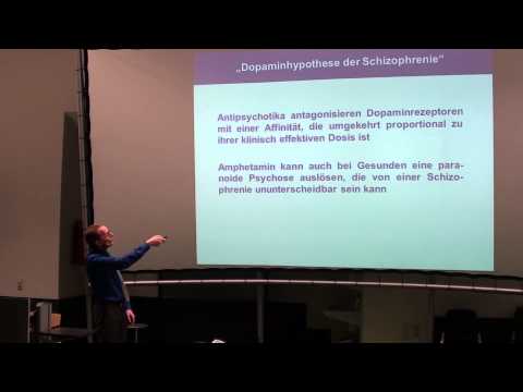 Video: Akuter Psychosozialer Stress Und Arbeitsgedächtnisleistung: Das Potenzial Körperlicher Aktivität Zur Modulation Kognitiver Funktionen Bei Kindern