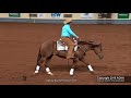 Dan huss and ms dreamy at the aqha world show