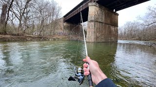 Rainbow TROUT Fishing with Spinners