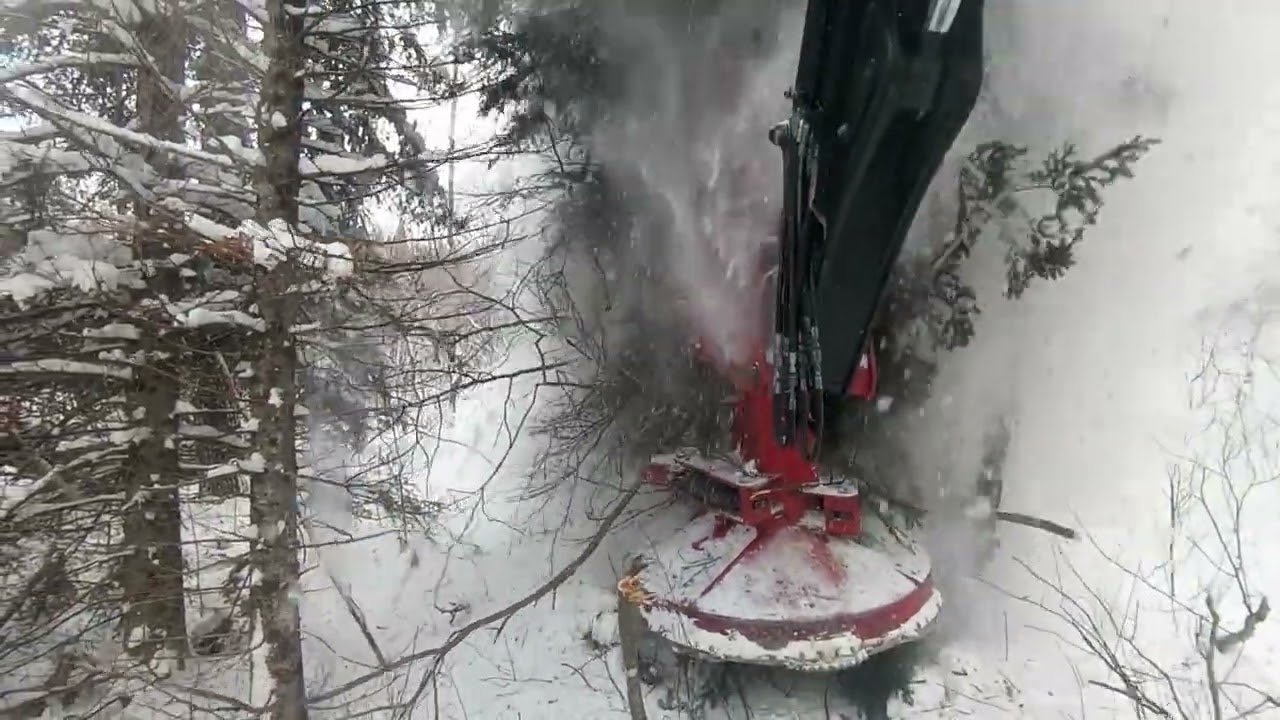 Fast Cutting - Feller Buncher Clearcutting