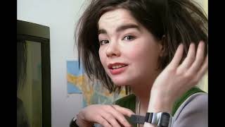 Björk: Don't Let Poets Lie to You by Kokopelli Spirit Journey 13,347 views 1 year ago 4 minutes, 45 seconds