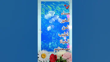 تحية المساء للغاليين 