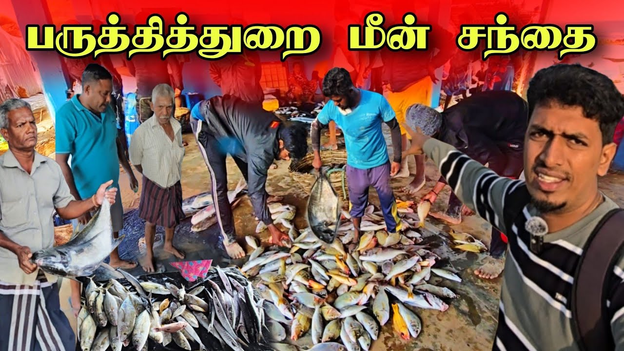 வாங்க குவிந்த மக்கள் கூட்டம் 😮 ஏலம் விடும் நேரடி காட்சி 😍🐟 | Pointpedro Fish Market 🇱🇰