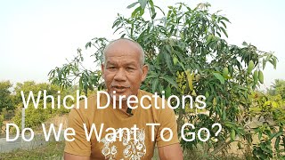 Which Directions Do We Want To Go?