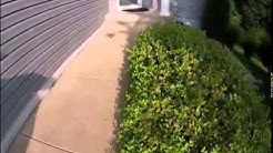 Lord Culpeper Ct Woodbridge Virginia  Rippon Landing aerial music  - Durasi: 4:00. 