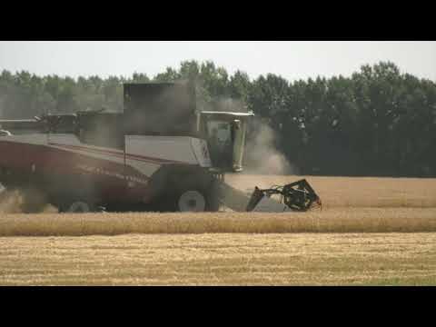 Главные направления развития агро-промышленного комплекса Воронежской области