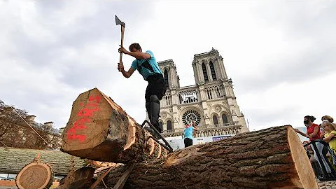 Wer ist in Notre Dame begraben?