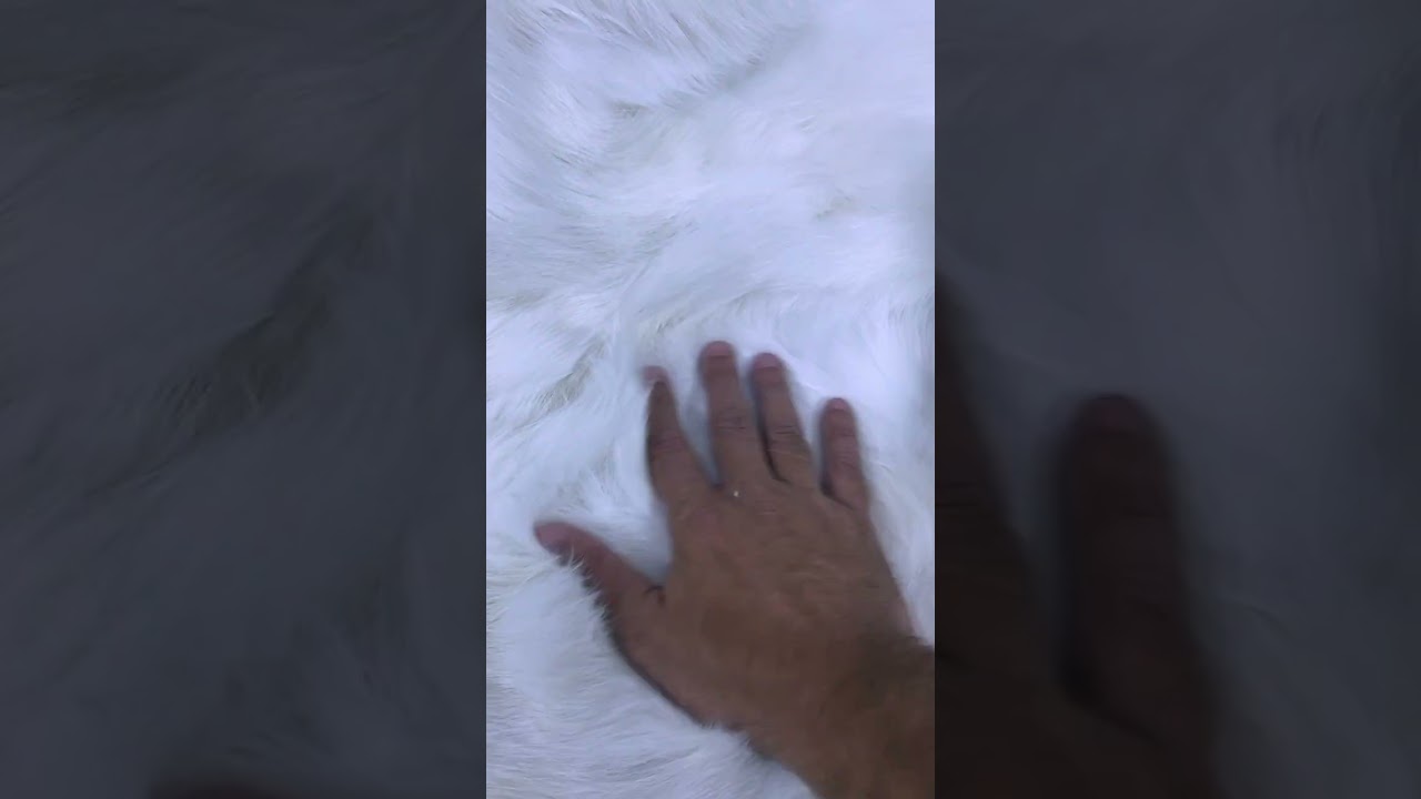 White Fox Fur Blanket