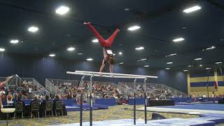 Robert Neff - Parallel Bars - 2018 Winter Cup - Senior Prelims