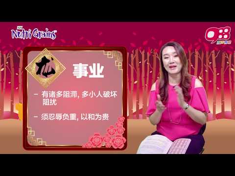 988《一家亲亲过好年》十二生肖－龙