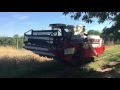 Yanmar CA750 kombájn próba aratás / harvest test