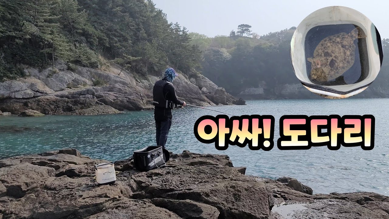 낮에는 도다리 / 밤에는 전갱이, 볼락