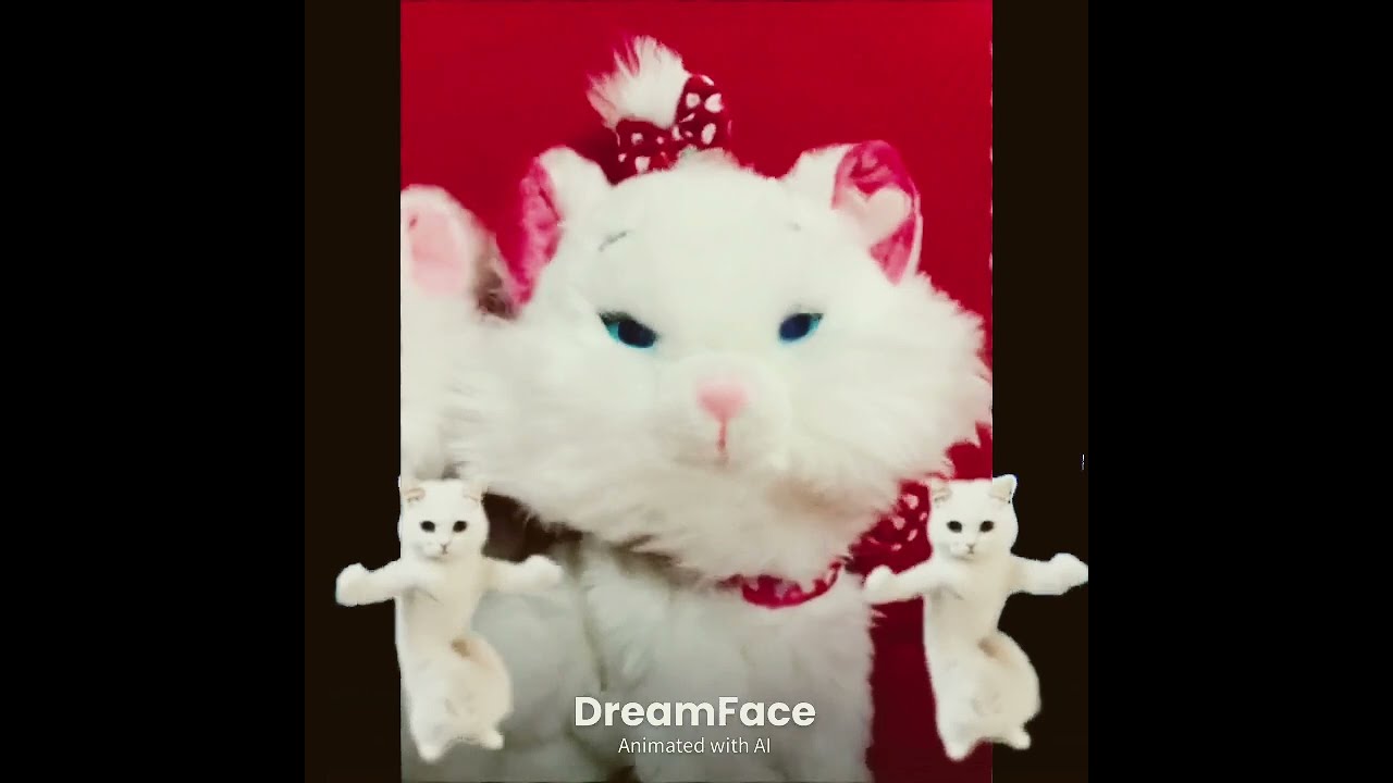 expression #おしゃれキャットマリー #マリーちゃん#ぬいぐるみ