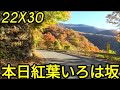 「紅葉見に行こうよう」日光いろは坂 下り最速!?20221030
